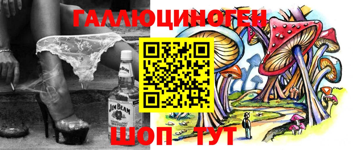 Псилоцибиновые грибы Psilocybe Жуковский