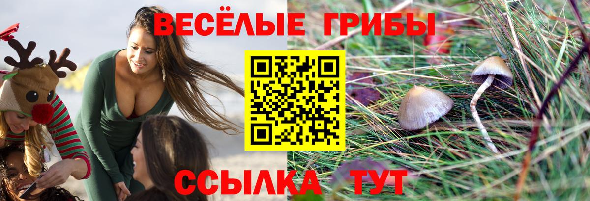 Псилоцибиновые грибы ЛСД  Вход с VPN  Жуковский 
